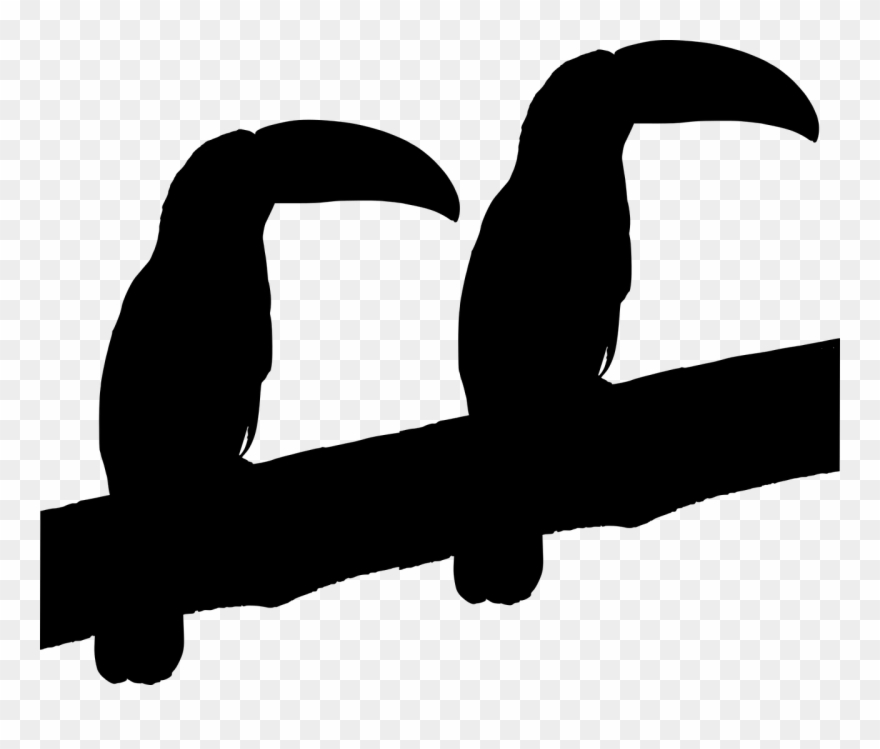 Parrot,cut Vector Graphics,free Clipart