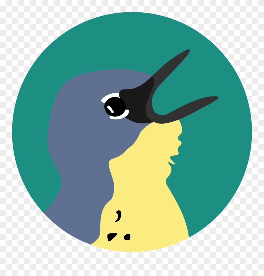 Interviews Featuring The Birding Story Of People Who Clipart
