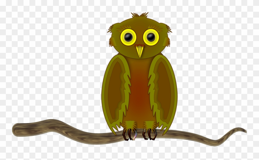 All Photo Png Clipart Transparent Png