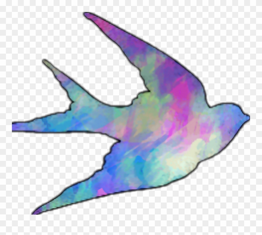 2k17 2017 Cute Bird Freetoedit Retro Vintage Nature Clipart