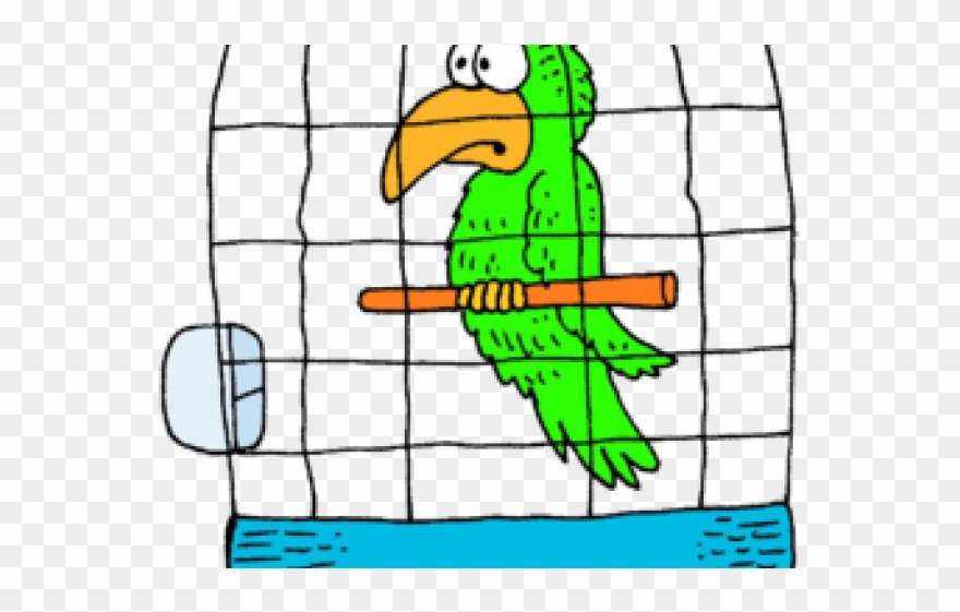 Cage Clipart Parrot - Png Download