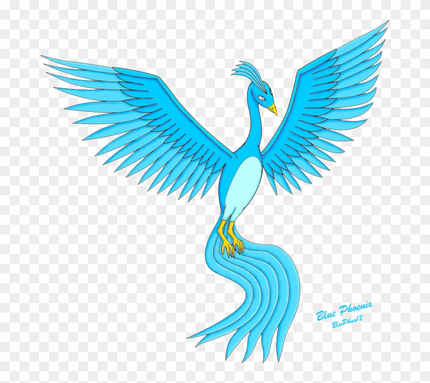 Phoenix Bird Pictures Clipart