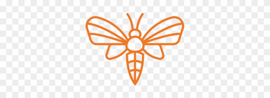 The First Thing We Need To Do Is Identify What Type Clipart