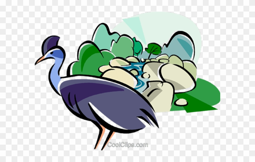 Cameleon Clipart Rainforest Animal - Png Download