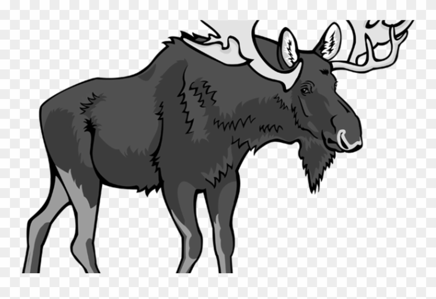 Moose Page 2 Of 7 Clipartblackcom - Png Download