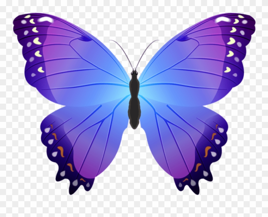 Download Butterfly Purple Clipart Png Photo Transparent Png