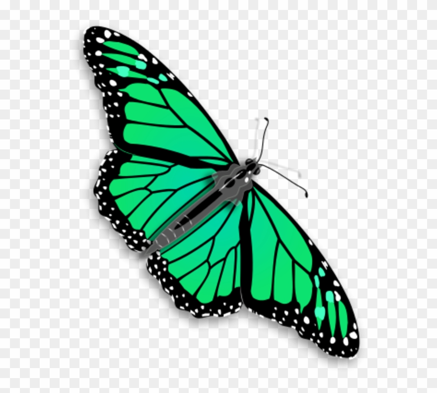 Clipart Of Butterfly, Butterfly The And Butterfly A - Png Download