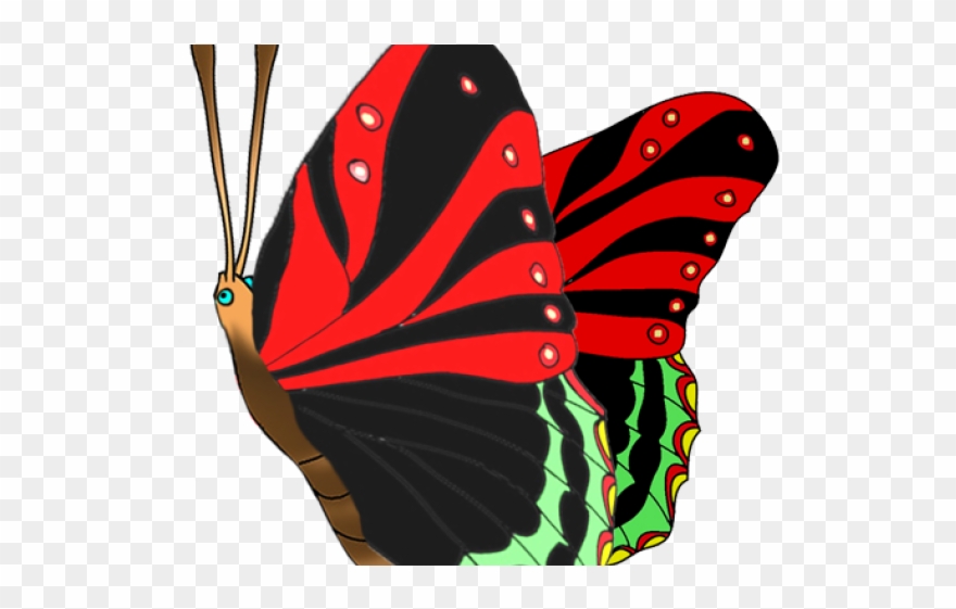 Butterfly Clipart Red - Png Download