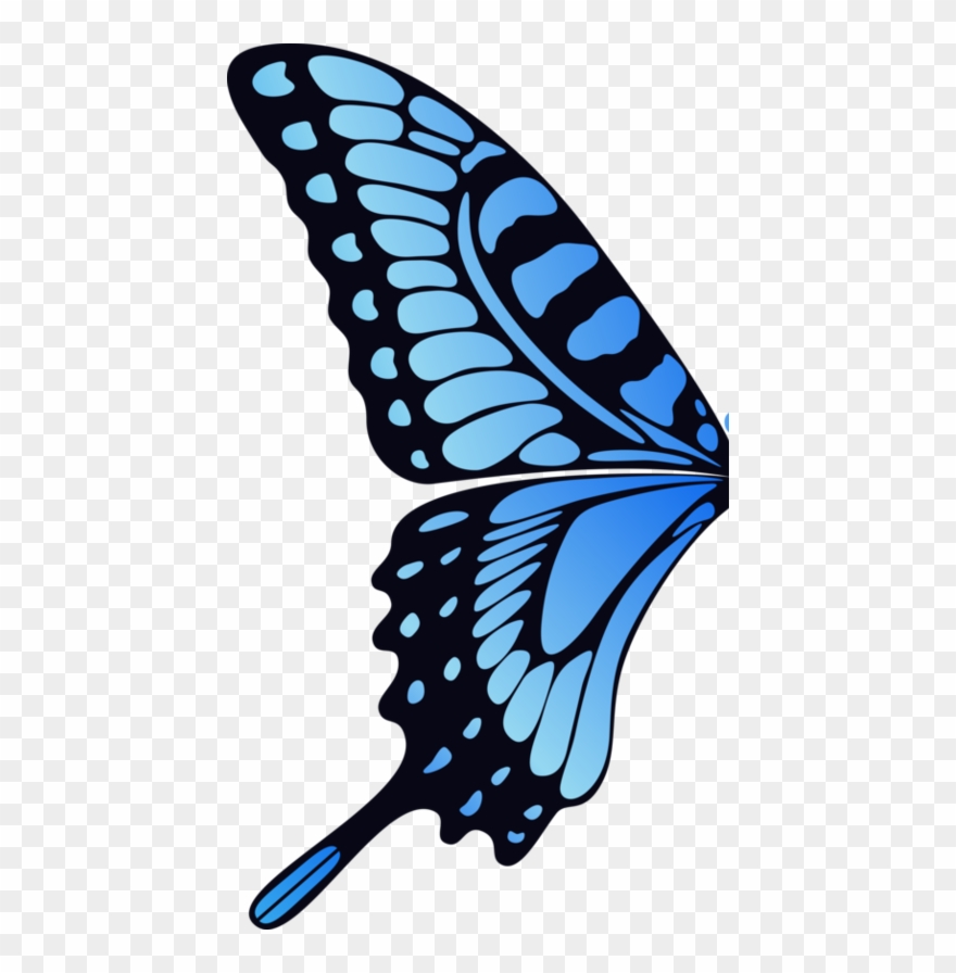 Kelebek Kanat Resmi Kelebek Gövdesi Clipart