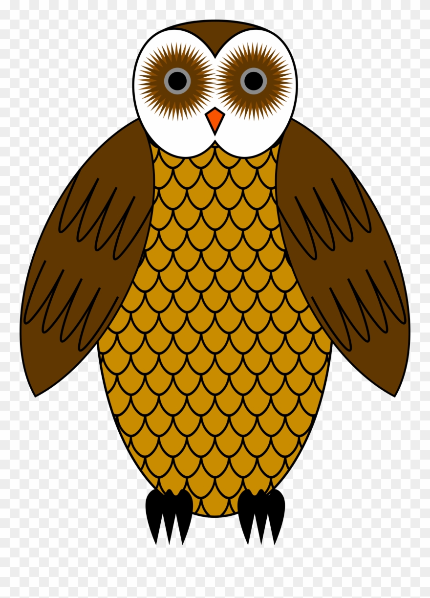 Clipart Owl - Png Download