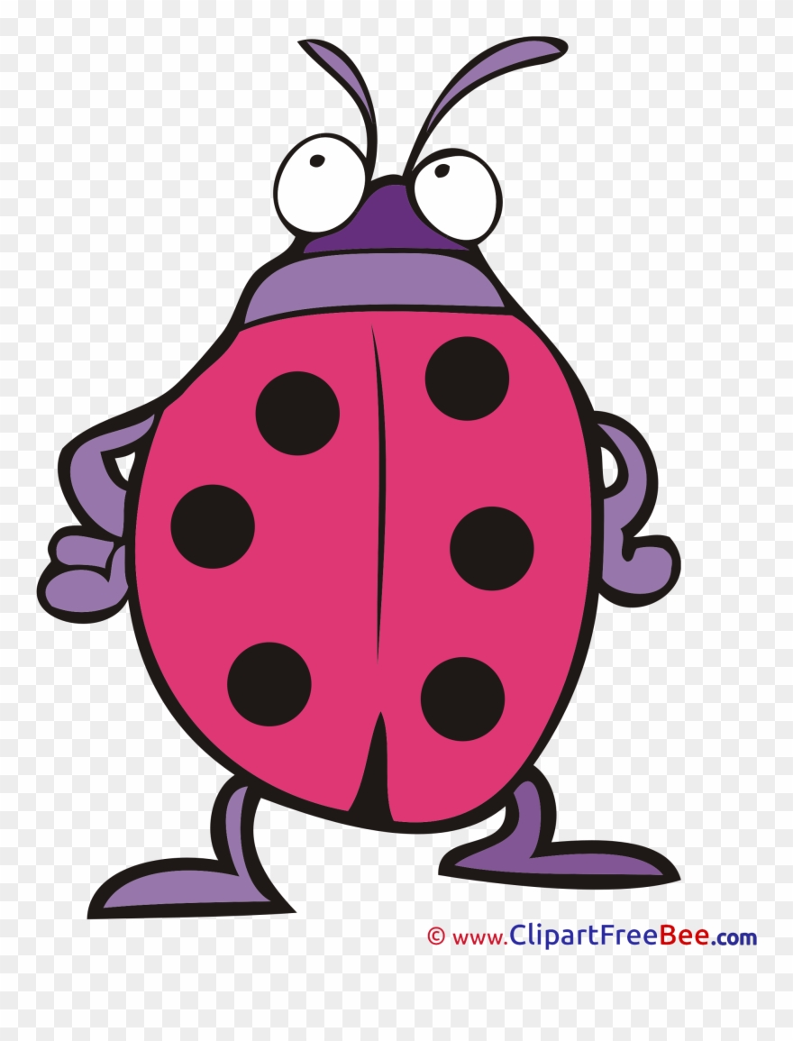 Pink Ladybug Clipart - Png Download