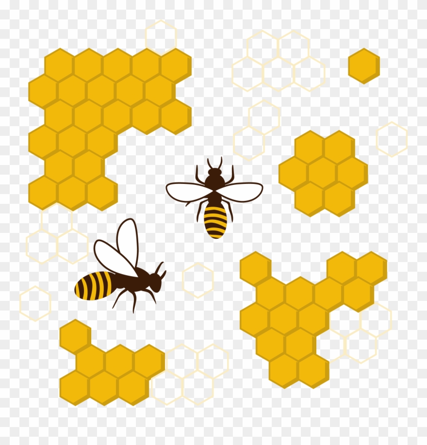 Honey Bee Honeycomb Insect Clip Art - Png Download