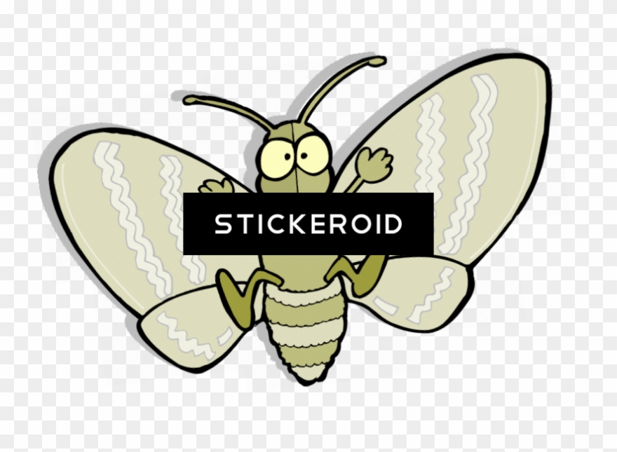 Moth Hd Butterfly Insects Clipart