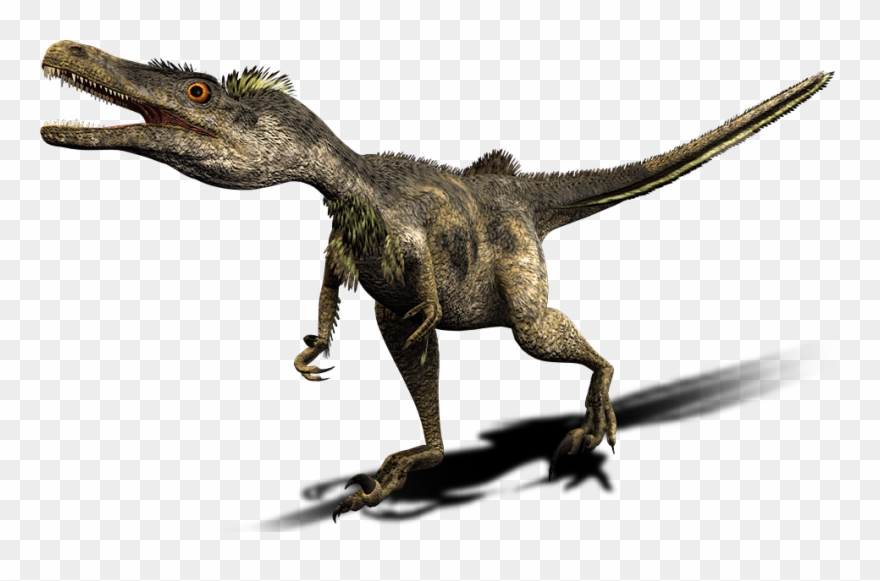 Velociraptor Generation Walking With Clipart
