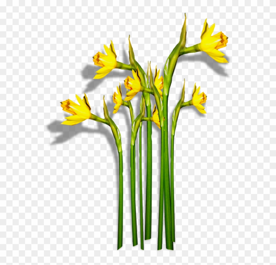 Publicat De Eu Ciresica La Clipart