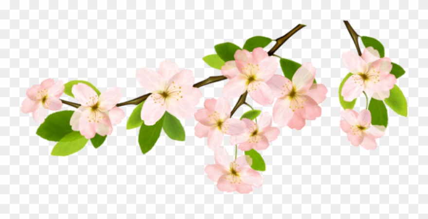 Free Png Download Spring Branchpicture Png Images Background Clipart