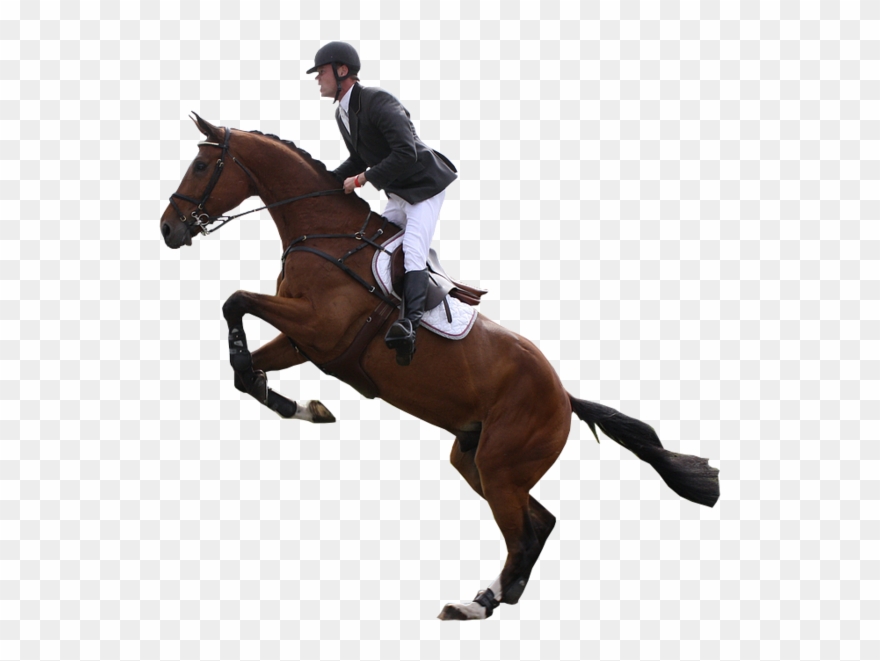 Download Hd Horses Transparent Clipart