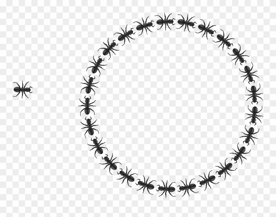 Vector Graphics,free Pictures Clipart