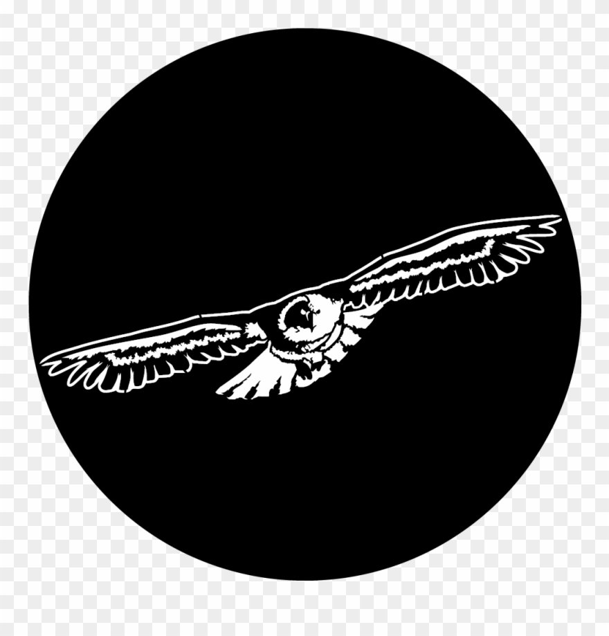 Apollo Design 1136 Soaring Eagle Steel Pattern Clipart