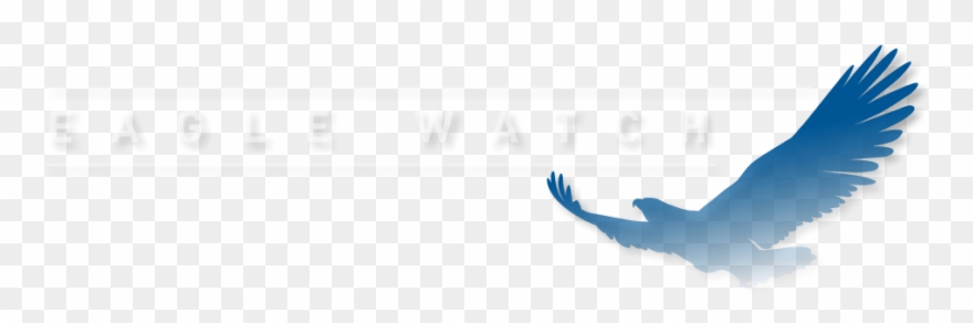 There Are Many Eagle Scouts Who Have Gone On To Become Clipart