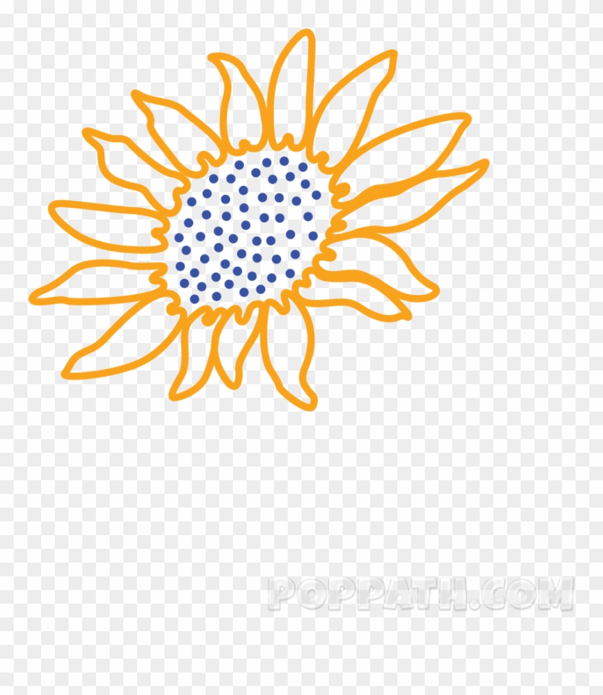 Drawing Sunflowers Outline Clipart
