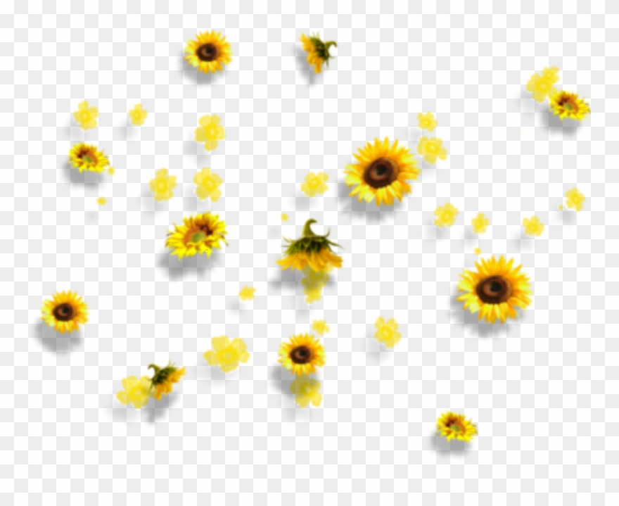 Yellow Flowers Aesthetic Tumblr Falling Clipart