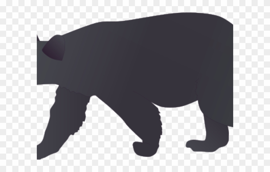 Black Bear Clipart Panda - Png Download