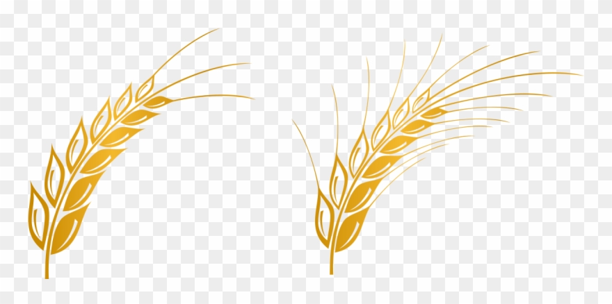 Euclidean Vector Gratis Computer File Clipart