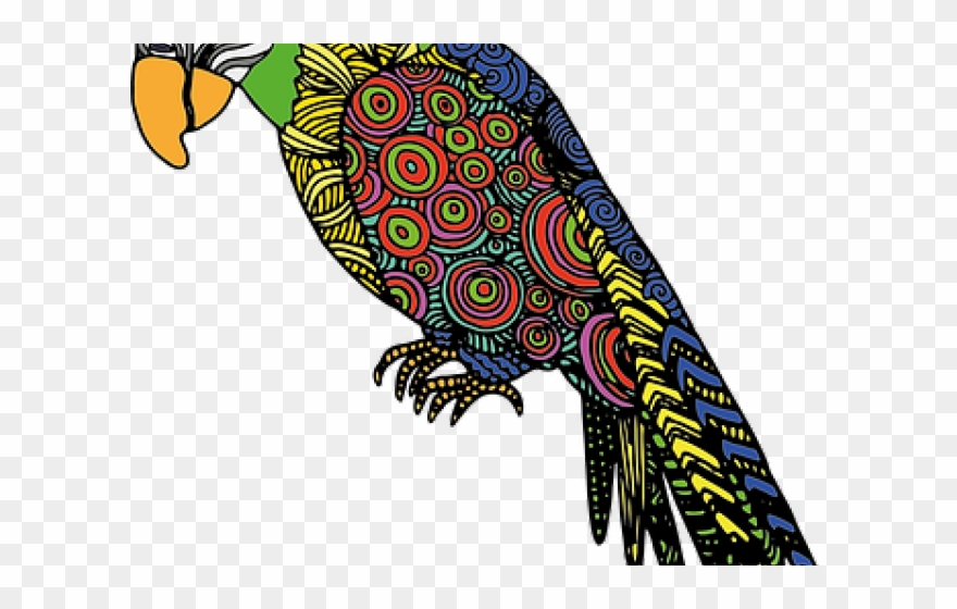 Parrot Clipart Colourful Parrot - Png Download