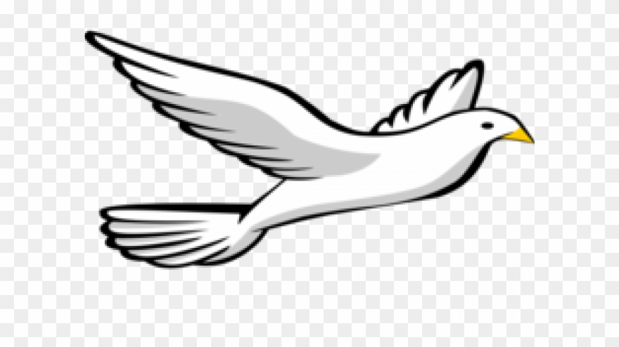 Turtle Dove Clipart Drawing - Png Download