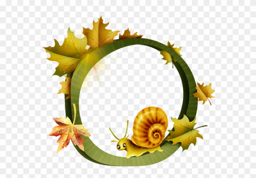 Cadres, Bordures Et Cadres, Clip Art - Png Download