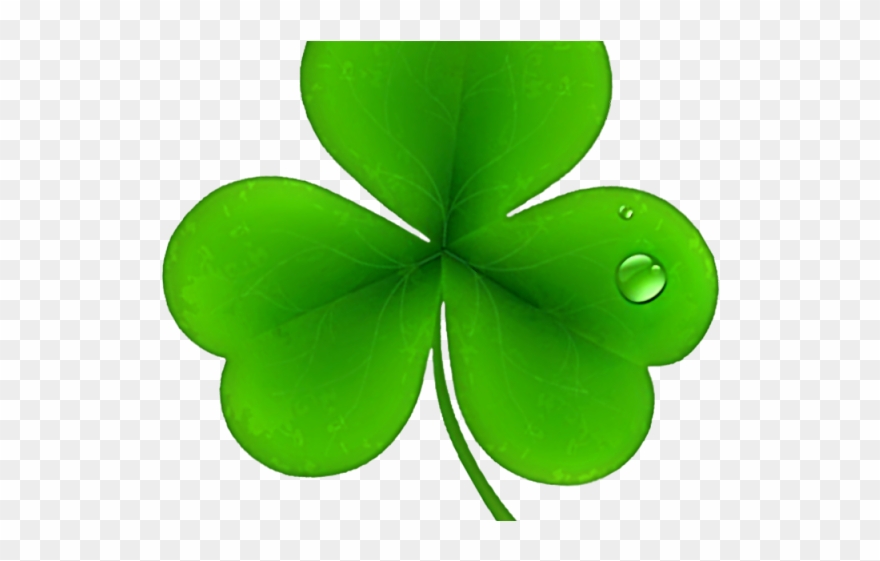 Shamrock Clipart Ireland - Png Download