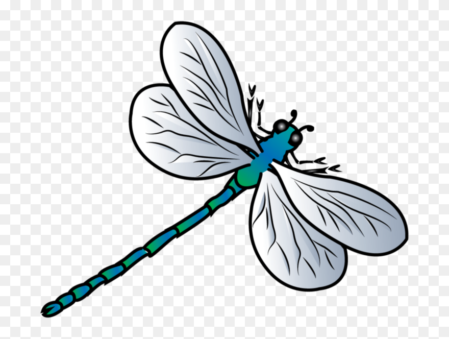 Dragonfly Clipart Transparent Background - Png Download