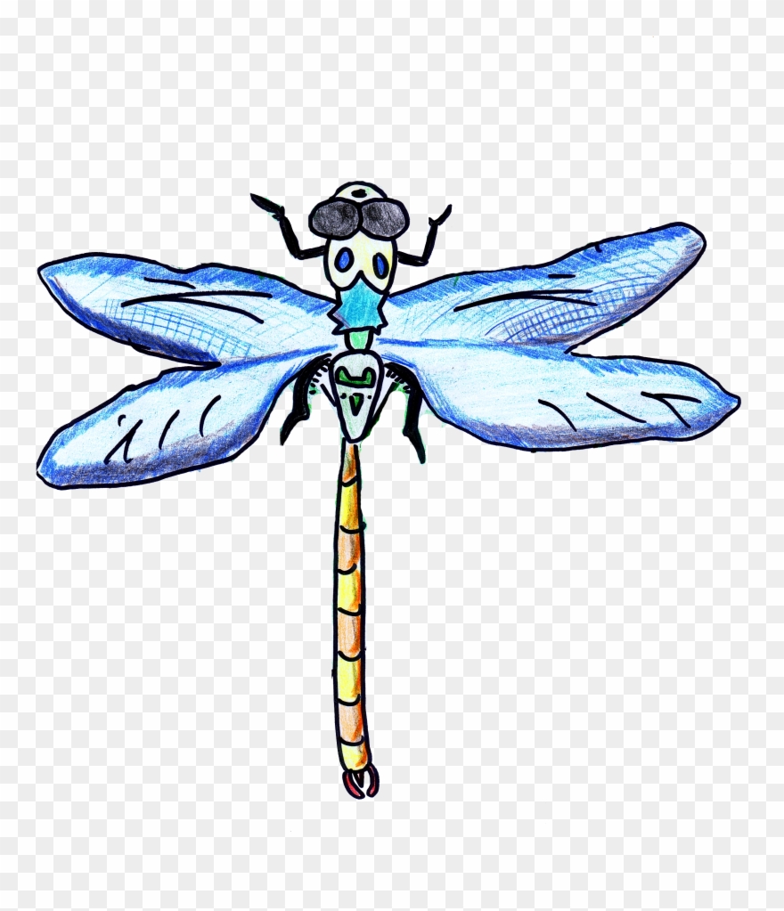 Dragonfly Transparent Flower Drawing Clipart