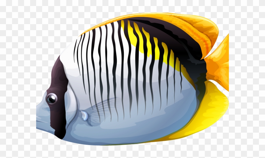Butterflyfish Clipart Fish Tank - Png Download