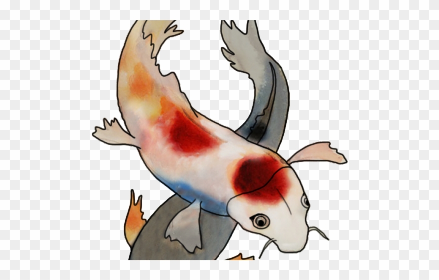 Koi Fish Clipart Cool - Png Download