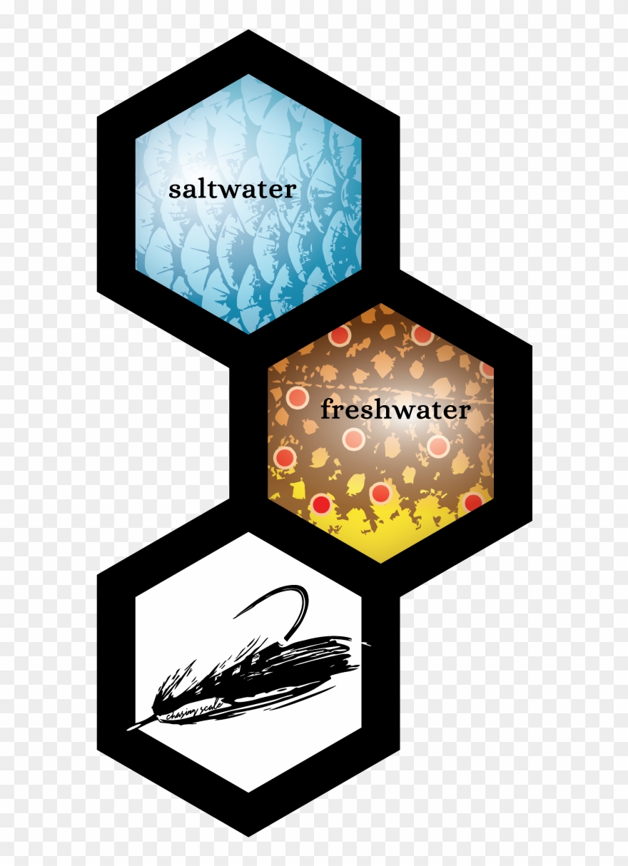 Diy Fly Fishing Adventure Travel Films, Photographs, Clipart