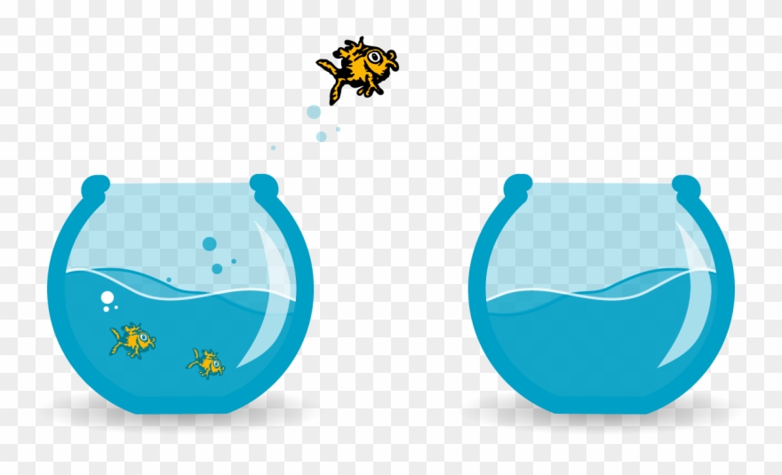 Fish Bowl Fish Tank Aquarium Goldfish Jump White Clipart