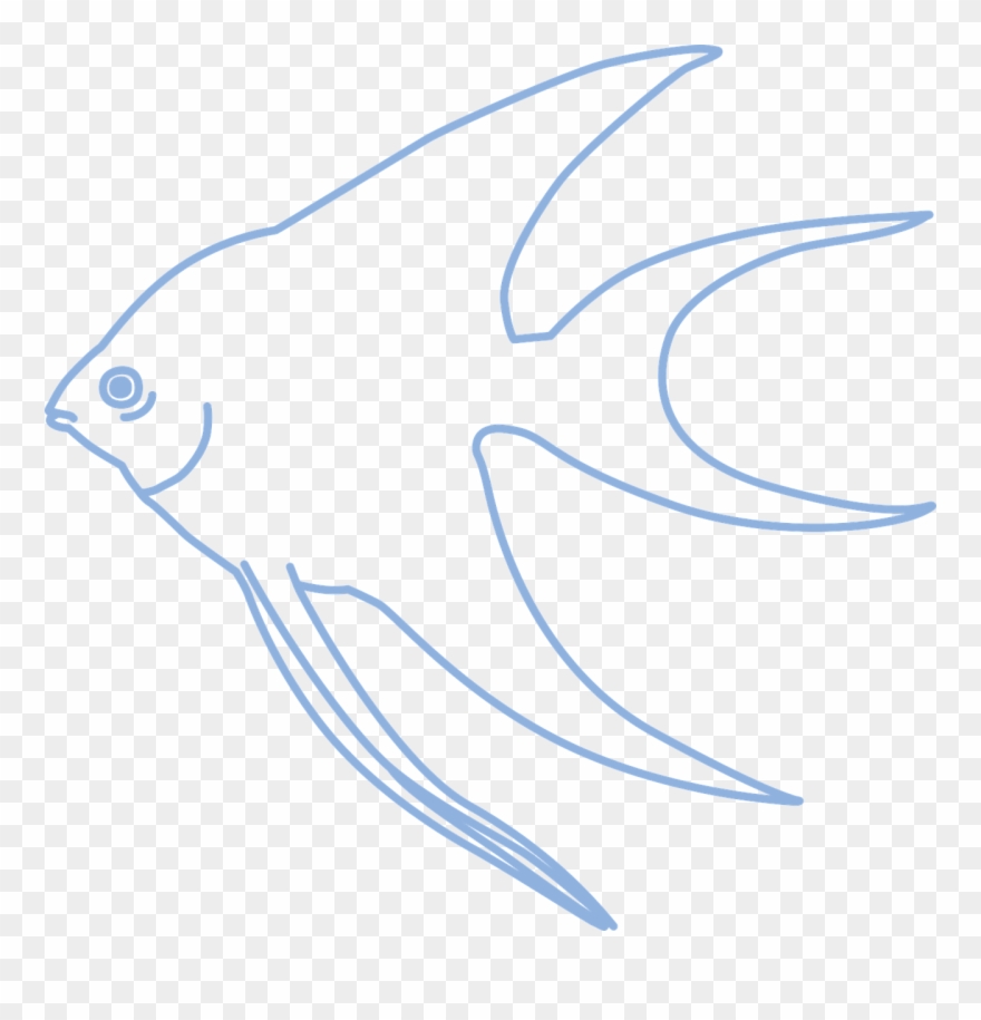 Fish,fish,free Vector Graphics,free Pictures, Clipart