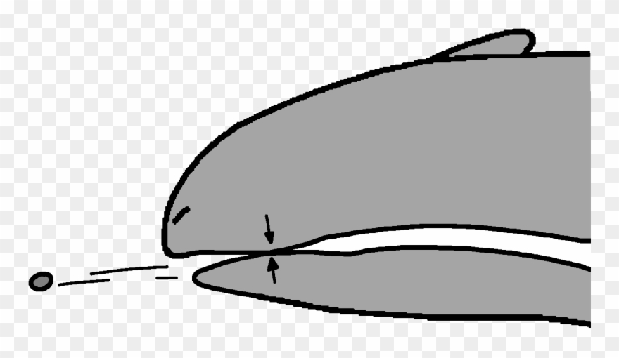 Bone Clip Pebble - Png Download