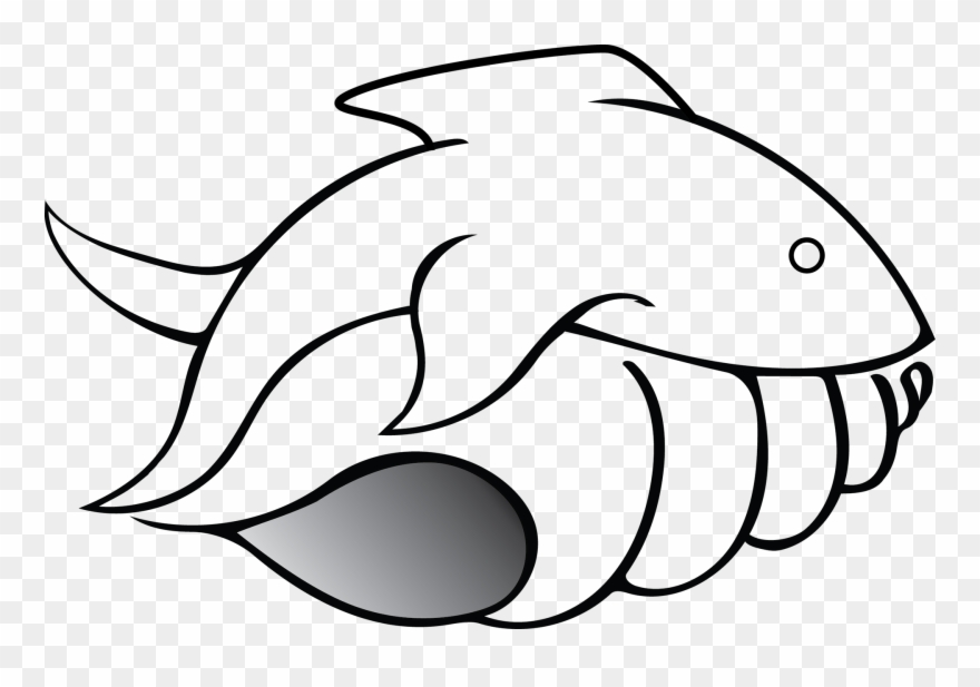 Shell Fish Logo Clipart