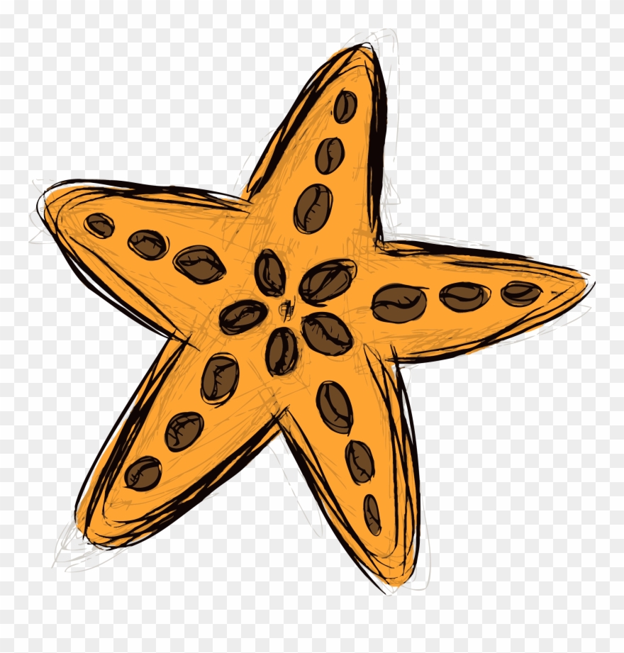 Starfish & Coffee Clipart