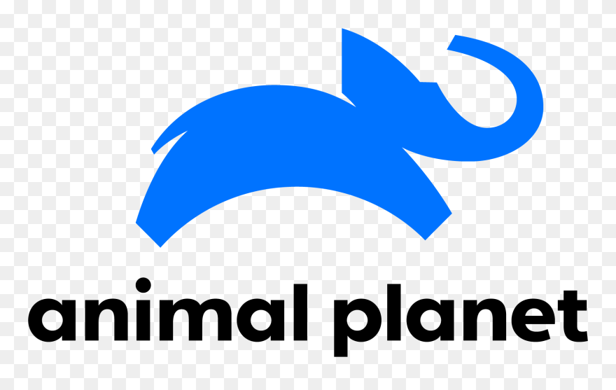 Discovery Education Clip Art - Png Download (#2783164) - PinClipart