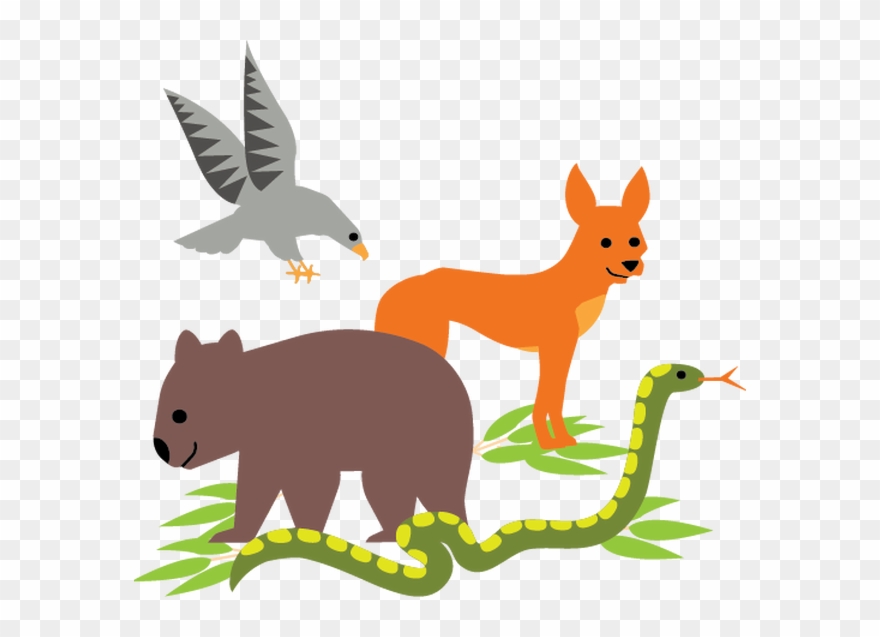 An Interactive, Educational Wildlife Show Clipart