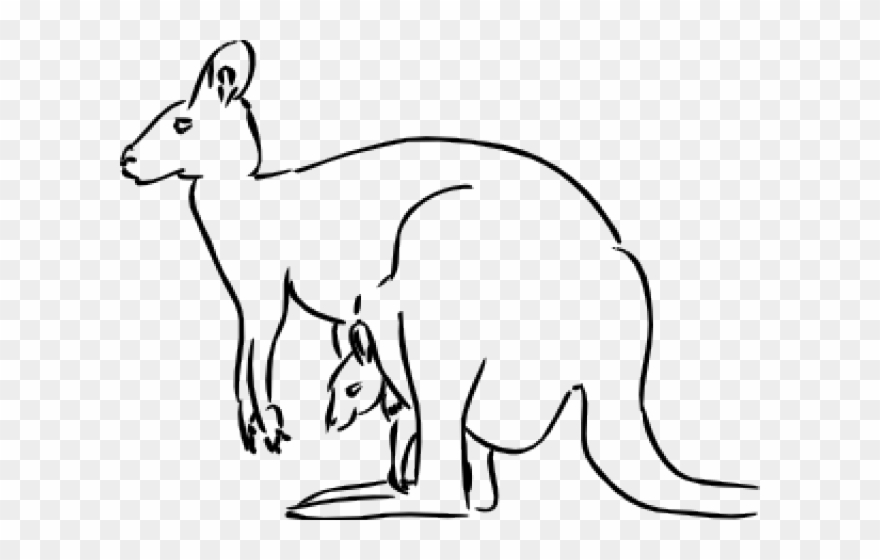Kangaroo Clipart Easy - Png Download