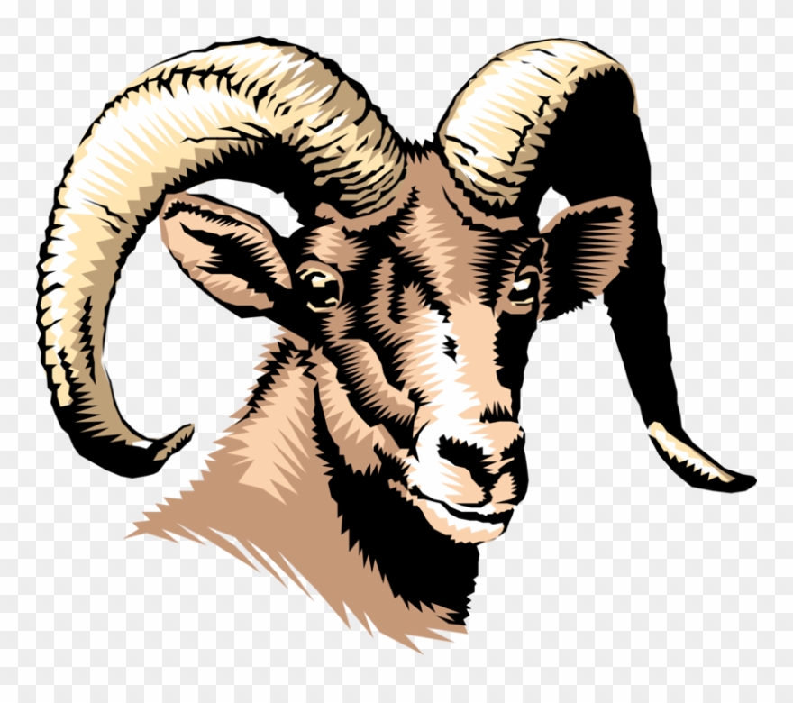 Horns Vector Ram Horn Clipart