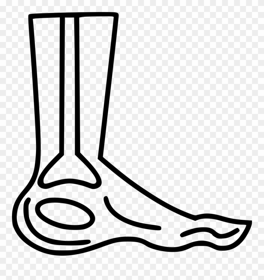 Xray Clipart Animal Xray - Png Download