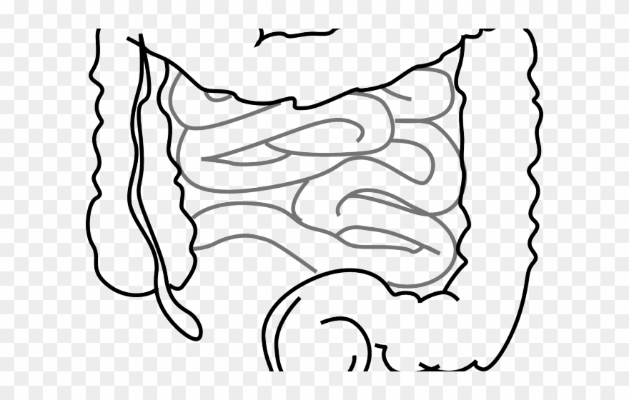 Medicine Clipart Preservative - Png Download