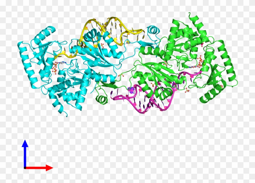 Pdb 3ovs Coloured By Chain And Viewed From The Front Clipart