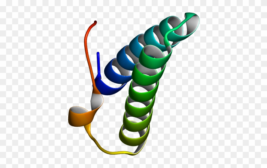 Database Information Clipart